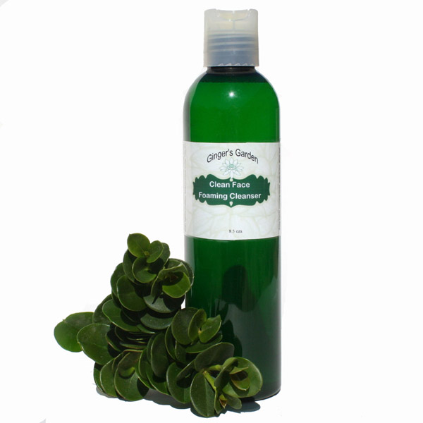 best foaming liquid cleanser